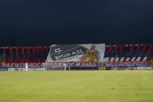boracnavijaci