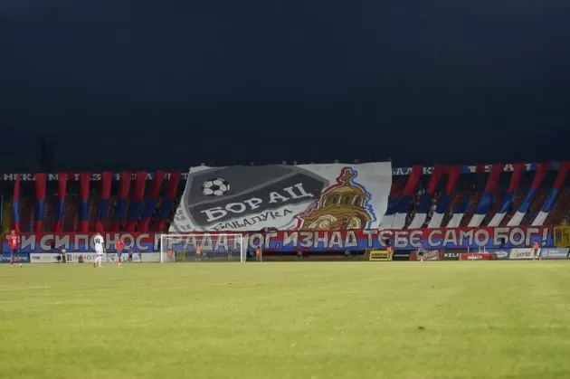 boracnavijaci